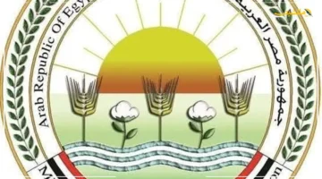 أكثر من 6 مليارات دولار.. قفزة جديدة في صادرات مصر من الصناعات الغذائية خلال 2024 1